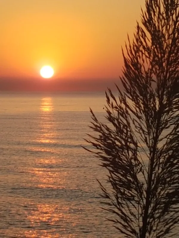 Sol bajo sobre el mar con su reflejo anaranjado y un plumero en silueta