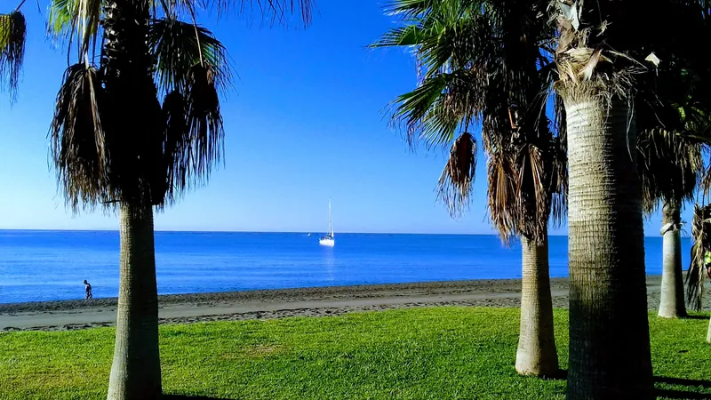Palmeras altas sobre un césped junto a la playa, con un velero en el mar azul