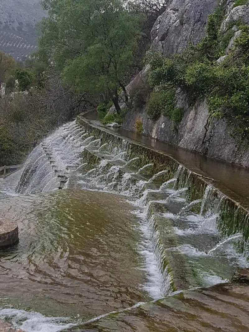 Agua cayendo por un canal escalonado junto a una pared de roca y vegetación