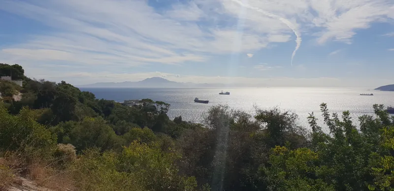 Mar plateado con barcos lejanos y la silueta de una montaña al fondo, entre árboles