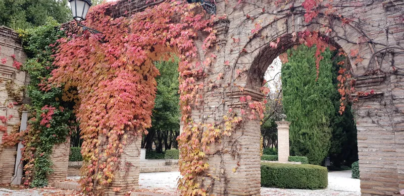 Arcos de ladrillo cubiertos de hiedra roja en un jardín
